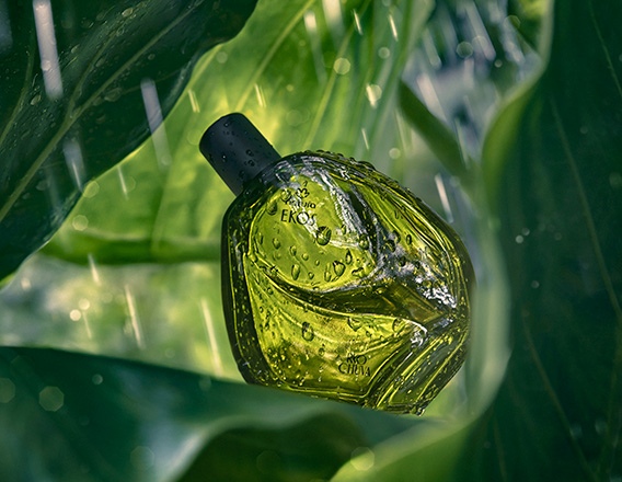 Desodorante Colônia Natura Ekos Ryo Chuva entre folhas cobertas por gotas d’água, transmitindo frescor e vitalidade. A composição remete à energia da chuva na floresta.