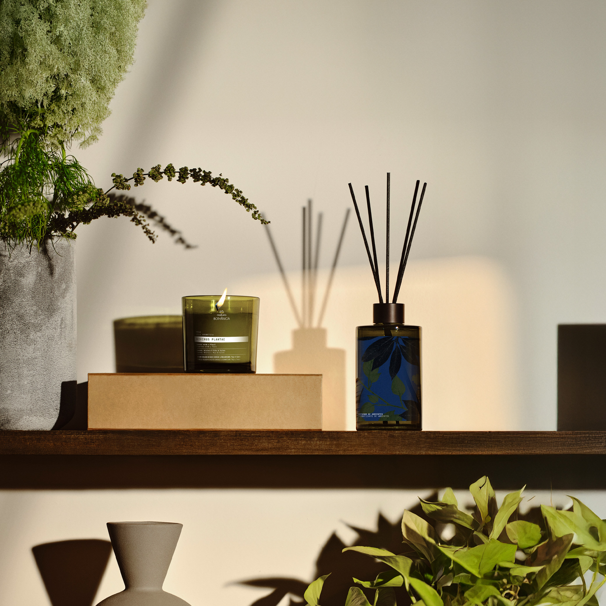 Sobre uma prateleira de madeira, há uma vela acesa e 1 Difusor de Ambiente Natura Bothânica Cyan Serenum, ambos verde escuros.  Ao redor há vasos decorativos e vasos de plantas.