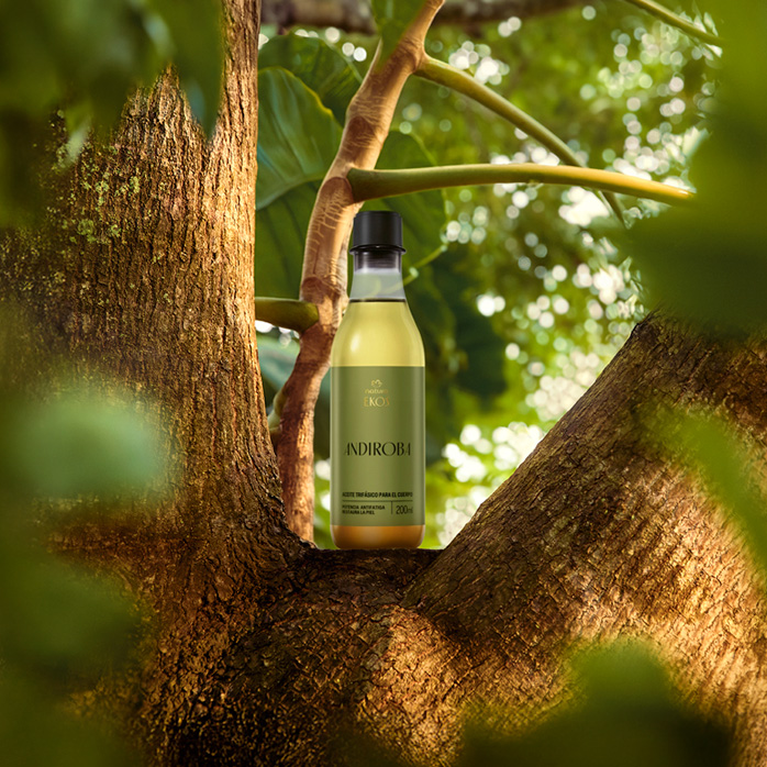 Frasco de Óleo Trifásico Desodorante Corporal Ekos Andiroba sobre tronco de árvore, em cenário de floresta desfocada.