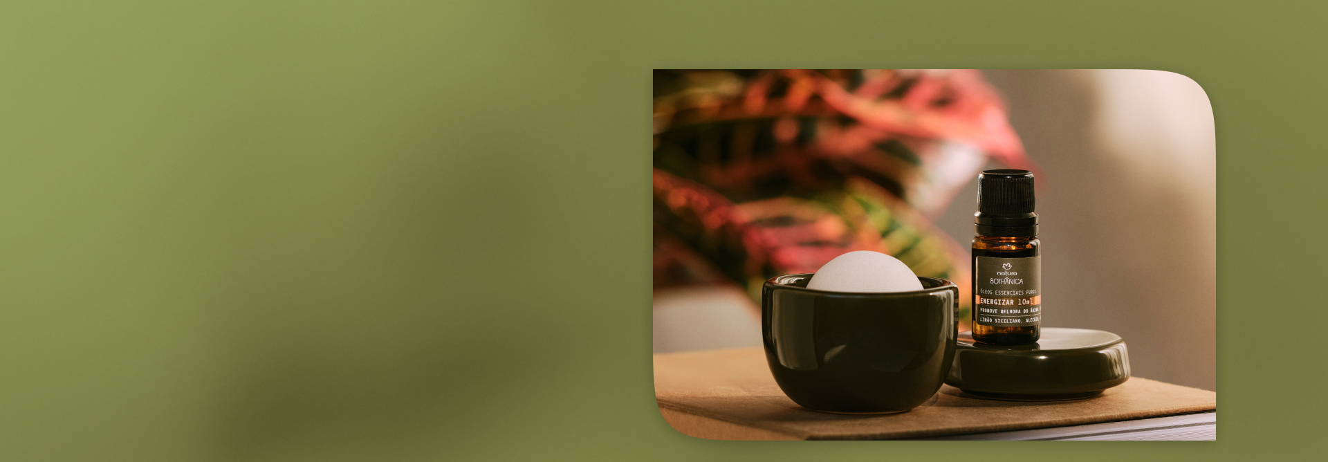 Difusor em Cerâmica, com recipiente e tampa verde-escuros, e Óleo Essencial Natura Bothânica, com frasco de vidro e tampa preta, destacam-se em cenário ambientado com folhagens. Fundo verde-claro.