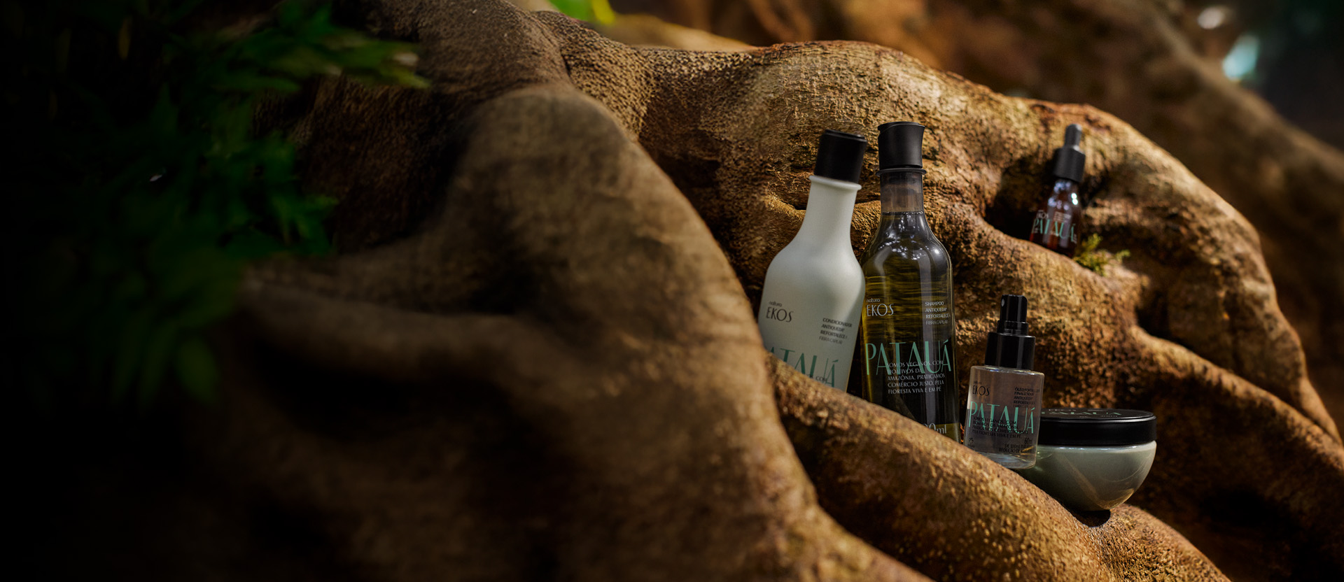 Produtos Natura Ekos Patauá em árvore amazônica e ambiente da floresta.