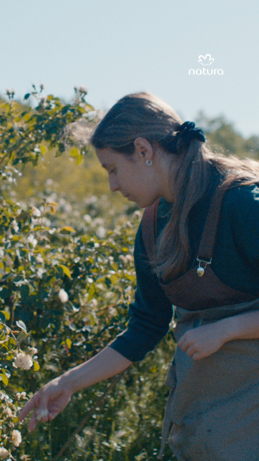 Vídeo começa mostrando um campo de rosas brancas em Konare, na Bulgária, onde a rosa alba é colhida. Depois, as pétalas da flor aparecem sendo encaminhadas para o processo de extração do óleo natura da rosa alba. No frame seguinte, o frasco de Natura Aura Alba é apresentado. Ao longo do vídeo, aparece o seguinte texto: No coração de Konare, na Bulgária, no clima e solo que conferem o exclusivo terroir, fomos buscar a rosa branca de perfume único, a rosa alba de Konare. Colhida uma a uma, dela se extrai o mais puro óleo, que agora dá vida a um potente perfume. Está nascendo Natura Aura Alba.