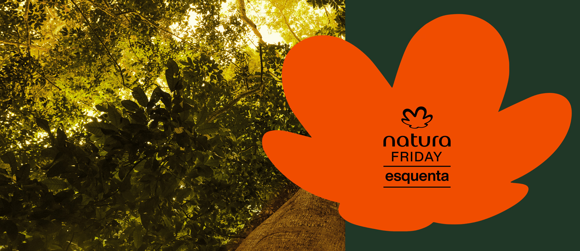 Imagem mostra flor símbolo da Natura em tom de laranja com o selo "Esquenta Natura Friday". Fundo verde-escuro com imagem que remete a uma floresta. 