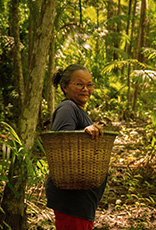 Mulher indígena usa óculos e cabelos presos, segura uma cesta ao lado do corpo e veste camiseta cinza e calça vermelha. Ela está em ambiente de floresta com árvores e plantas tropicais.