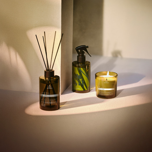 Três itens da linha Natura Bothânica: Spray de  Ambientes, Difusor de Ambientes e Vela Aromática com  embalagens em tons de verde, amarelo e marrom. Fundo  com paredes em cor bege.