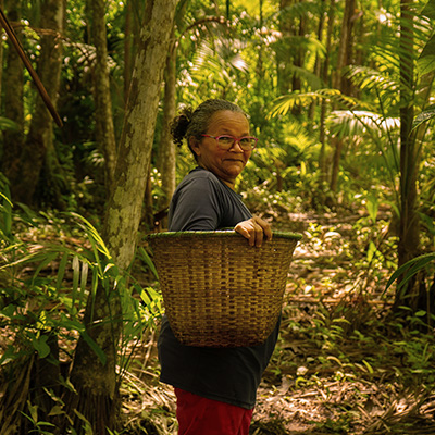 Mulher de pele parda, cabelos grisalhos presos e óculos segura um cesto de palha nas costas, caminhando em floresta densa e iluminada por raios de sol entre as árvores.