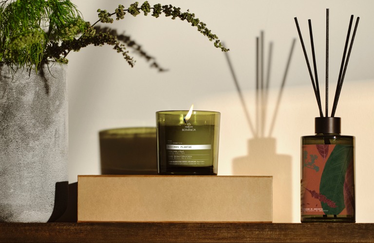 Vela aromática e difusor de ambiente de breu branco sobre uma prateleira com plantas
