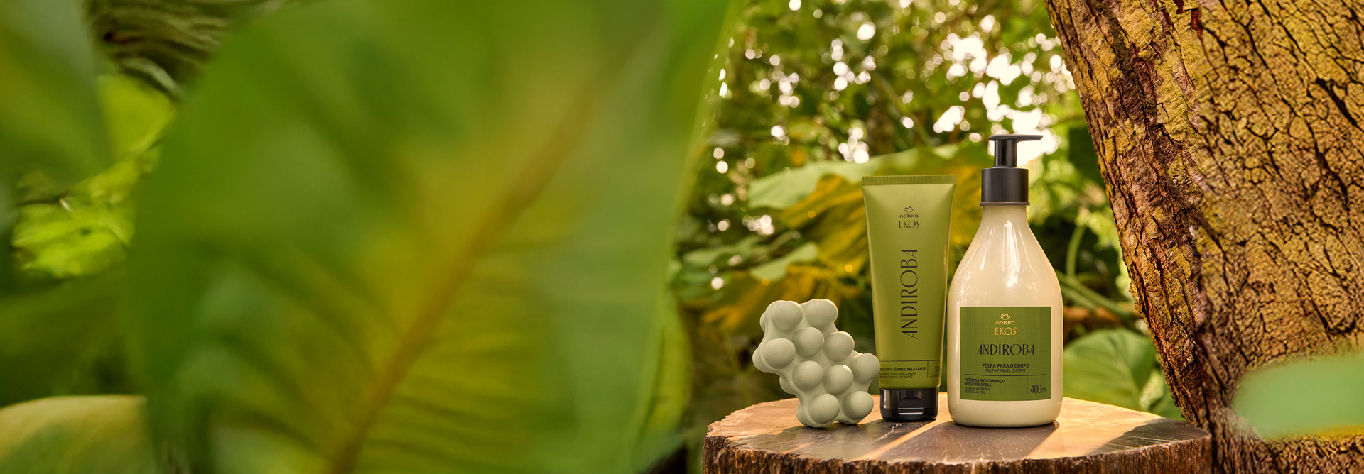 Produtos da linha Natura Ekos Andiroba: Sabonete, Polpa para o Corpo, Hidratante, Óleo e Fluído, sobre madeira, em fundo desfocado com imagem de plantas.