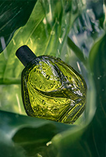 Desodorante Colônia Natura Ekos Ryo Chuva entre folhas cobertas por gotas d’água, transmitindo frescor e vitalidade. A composição remete à energia da chuva na floresta.