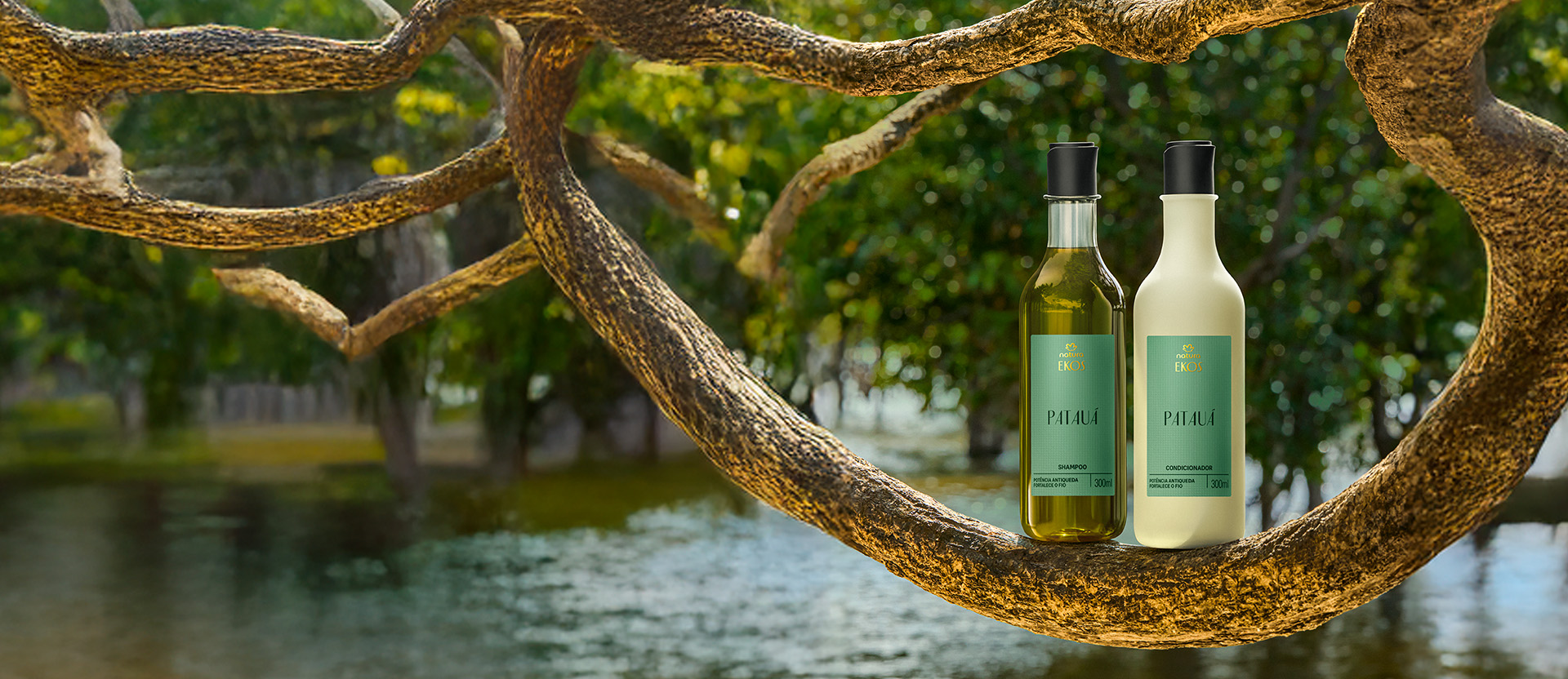 Frascos de Shampoo, Condicionador e Óleo Fortalecedor Ekos Patauá estão dispostos ao lado de sementes e folhas de patauá sobre fundo verde claro, transmitindo naturalidade e frescor. 