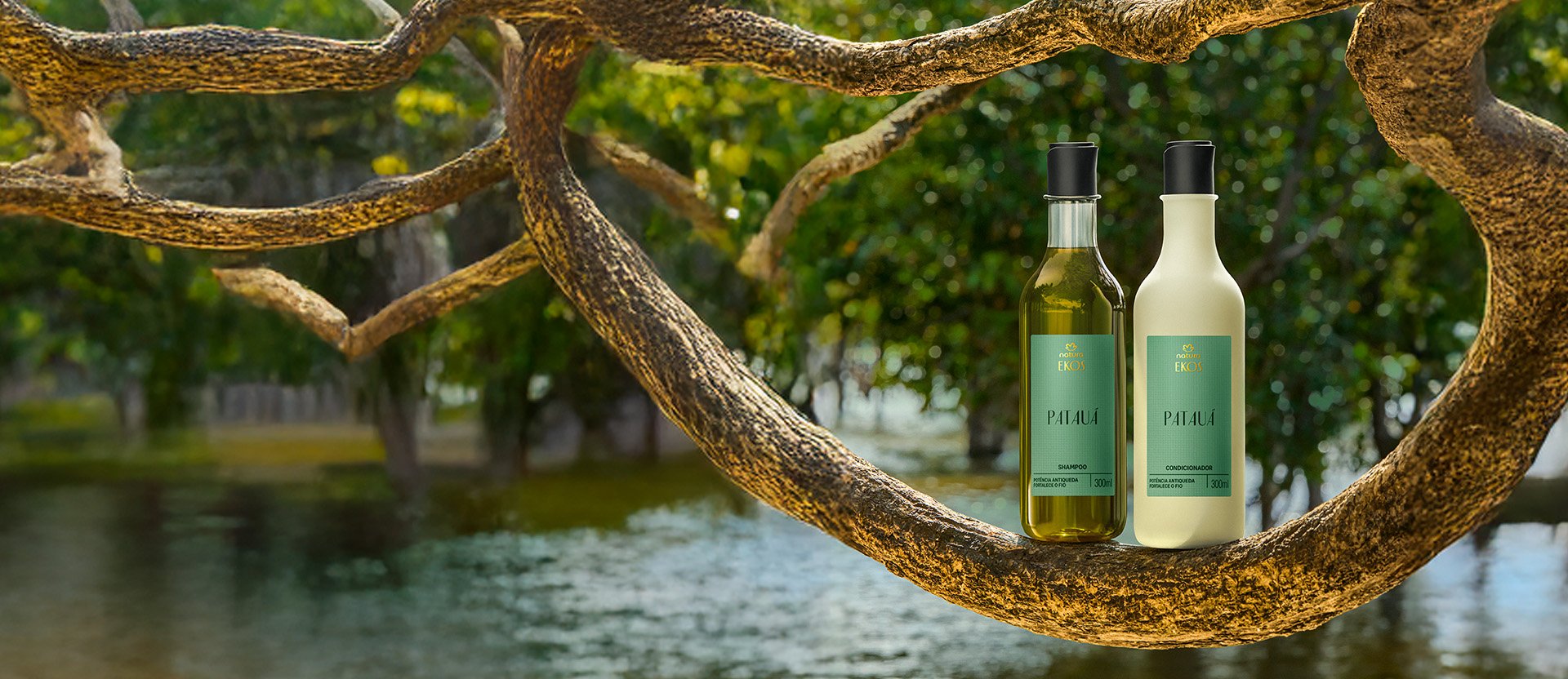Frascos de Shampoo, Condicionador e Óleo Fortalecedor Ekos Patauá estão dispostos ao lado de sementes e folhas de patauá sobre fundo verde claro, transmitindo naturalidade e frescor. 
