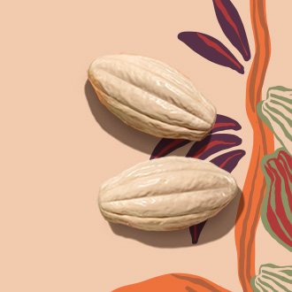 Sabonete em barra puro vegetal cremoso Natura Ekos Cacau, com ilustrações do pé de cacau, em fundo verde.