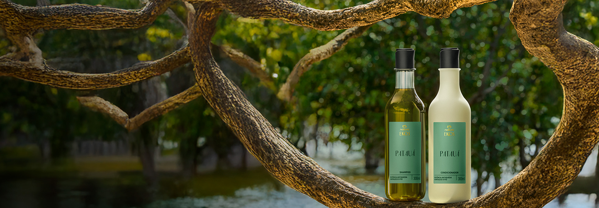 Frascos de Shampoo e Condicionador Natura Ekos Patauá, um verde translúcido e outro bege, apoiados em galho grosso sobre fundo de floresta e rio, transmitindo conexão com a natureza.