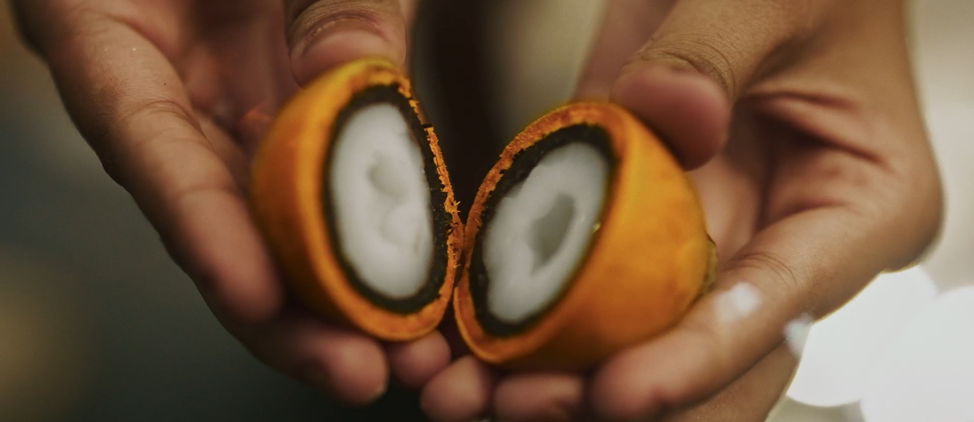 Vídeo com sequências de imagens em ambiente amazônico, com povos ribeirinhos, frutos e belezas naturais.
