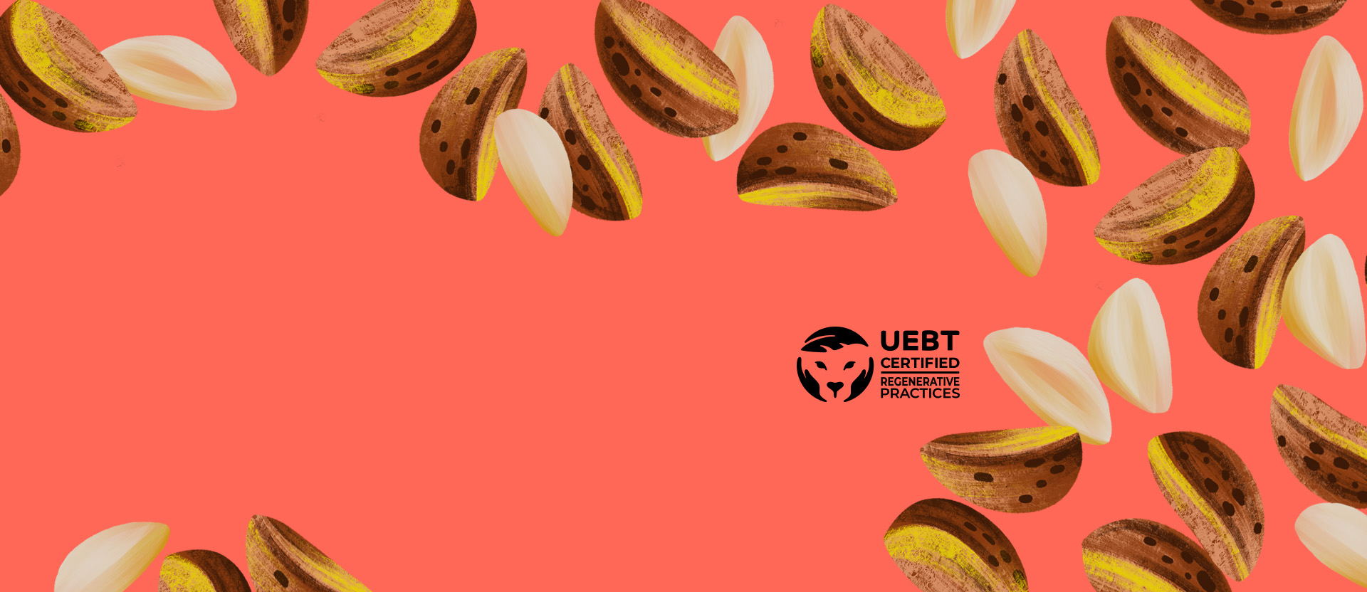 Imagem com fundo rosa que traz ilustrações da castanha junto com selo uebt regenerativo