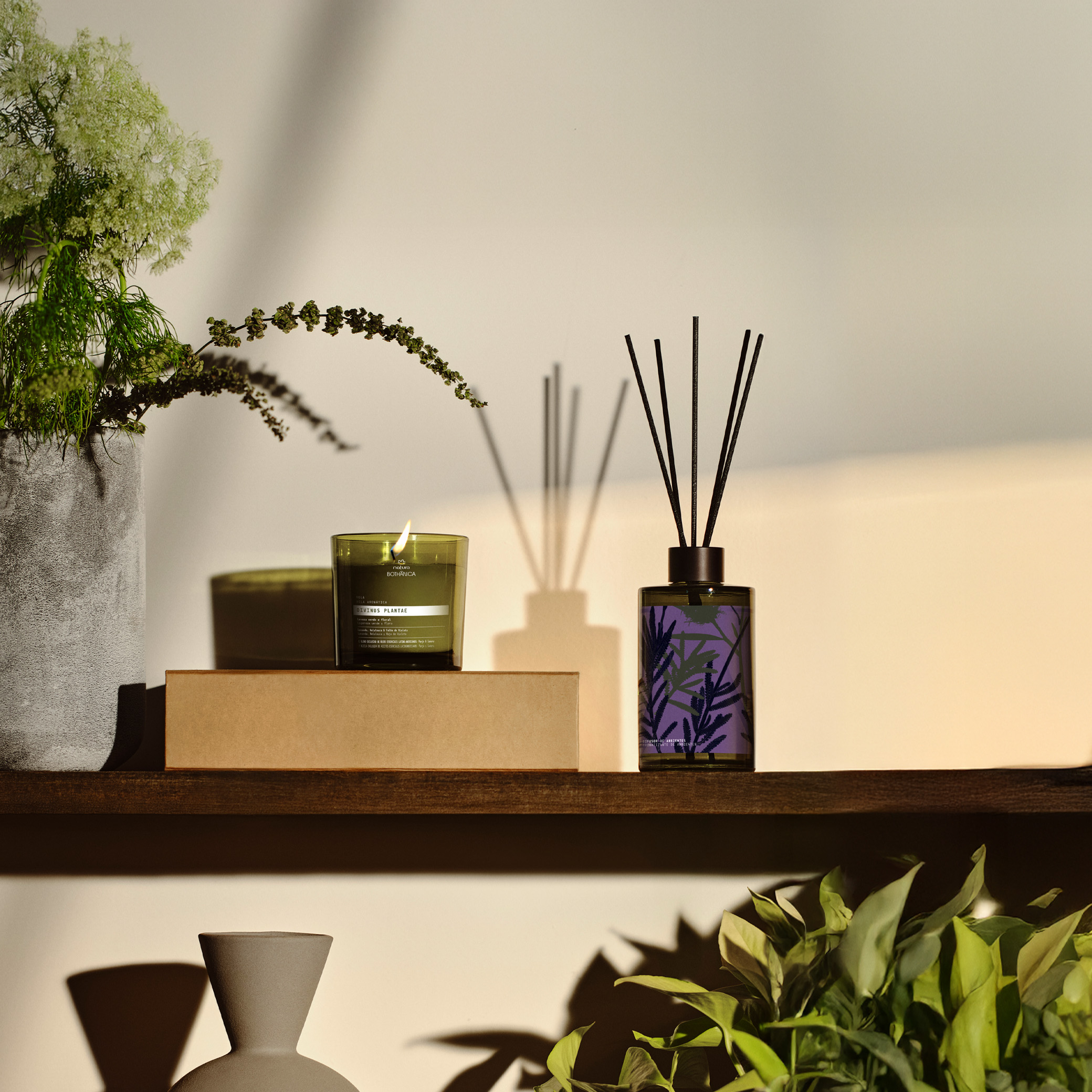 Sobre uma prateleira de madeira, há uma vela acesa e 1 Difusor de Ambiente Natura Bothânica Divinus Plantae, ambos verde escuros.  Ao redor há vasos decorativos e vasos de plantas.