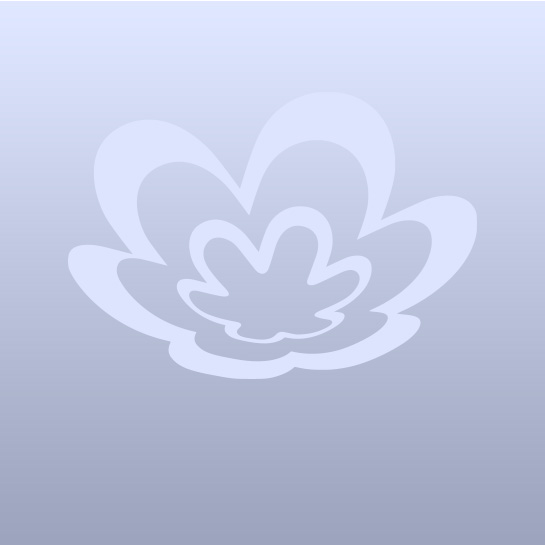 Flor símbolo Natura em branco, em fundo com degradê cinza.