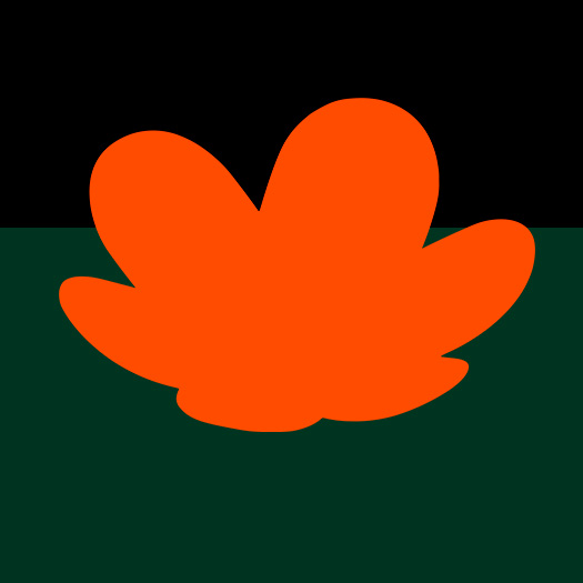 Uma flor de cor laranja brilhante, estilizada como a rosácea da marca Natura, repousa sobre uma superfície verde escura, com um fundo preto acima.