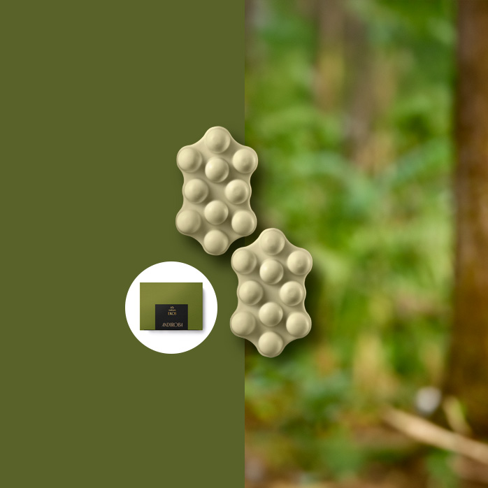 Sabonetes em Barra Massageadores verdes em fundo de cenário de floresta desfocada à direita e verde à esquerda. Lupa com a caixa de sabonetes Ekos Andiroba abaixo dos sabonetes.