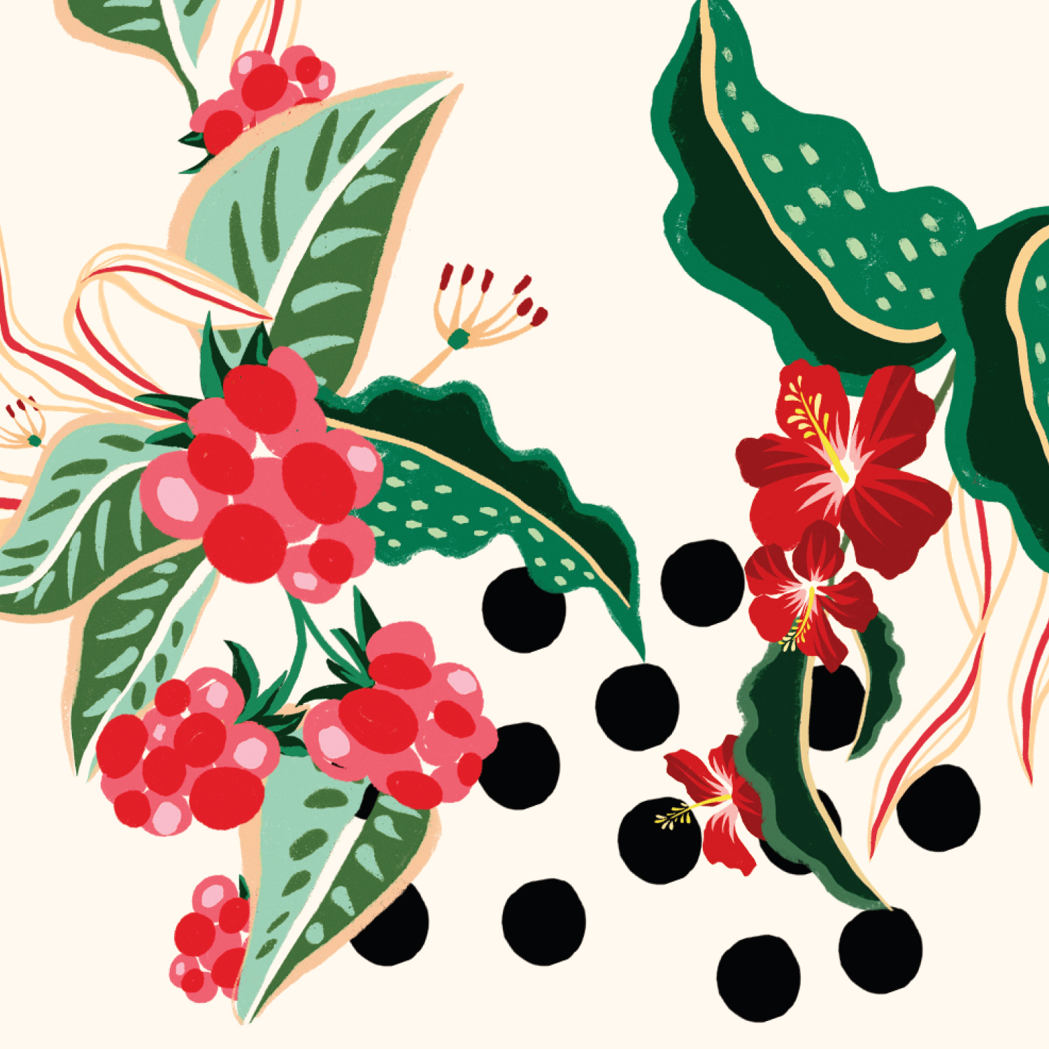 Fundo na cor creme com ilustração delicada de folhas verdes, flores vermelhas e frutas vermelhas, em especial a framboesa. 