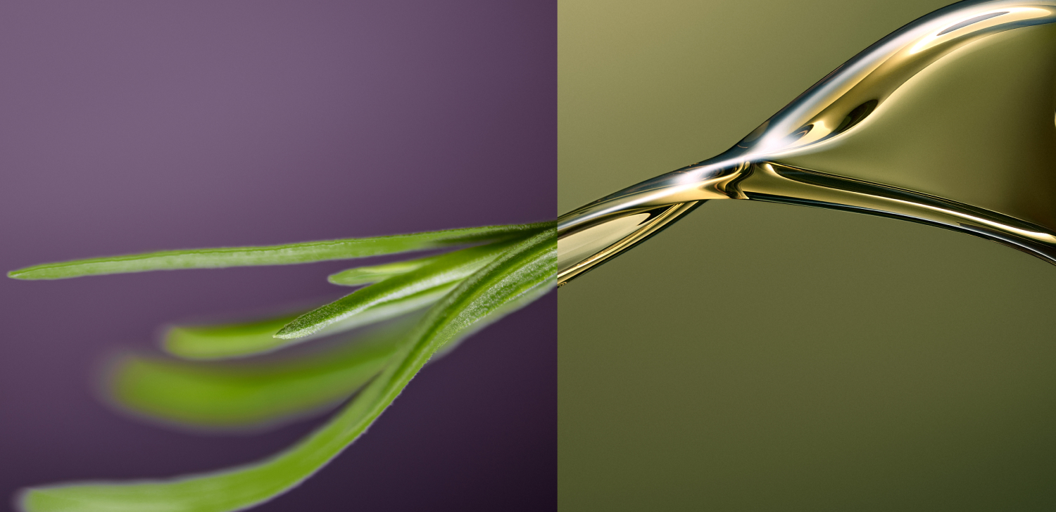 Imagem de uma transformação, bem artística, da flor verde de jatobá em óleo, que faz parte da fórmula do sérum.