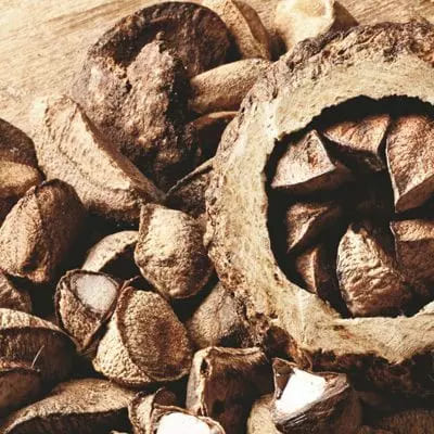 Nossos Ingredientes