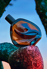 Desodorante Colônia Natura Ekos Ryo Festa se destaca sobre uma pedra iluminada, em meio a tons vibrantes.