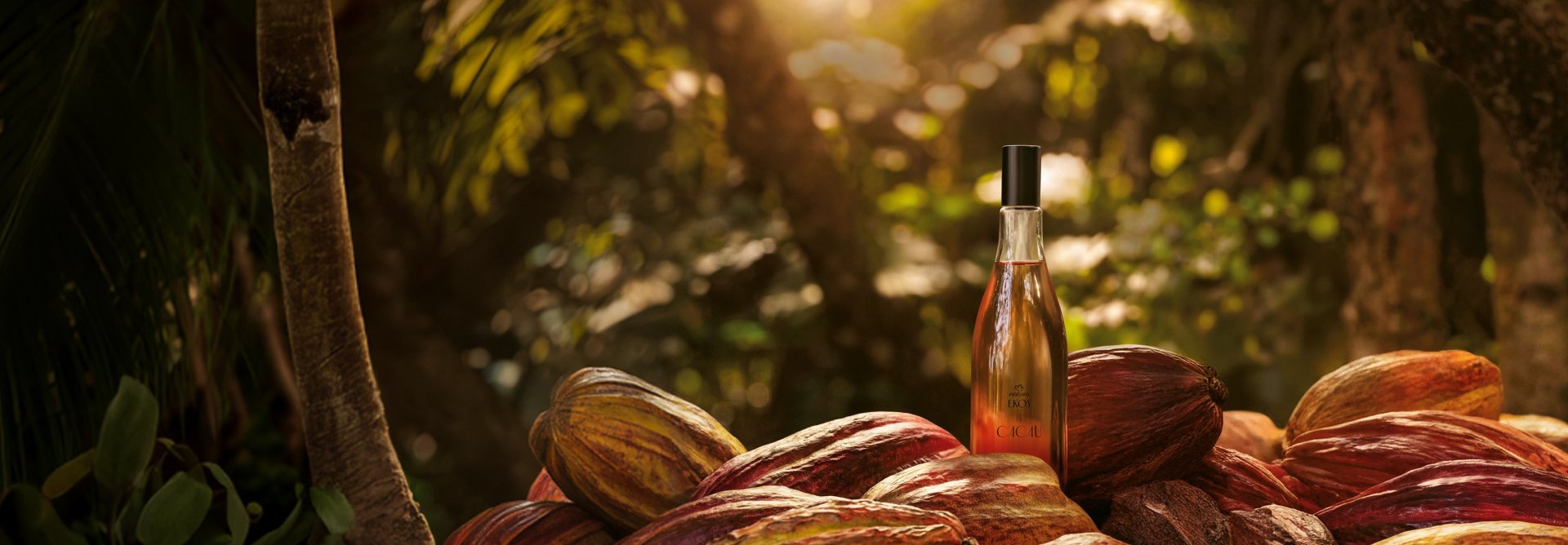 Desodorante Colônia Ekos Frescor Cacau Feminino, com frasco de vidro transparente, tampa preta e conteúdo laranja suave, repousa sobre frutos de cacau em meio à floresta.