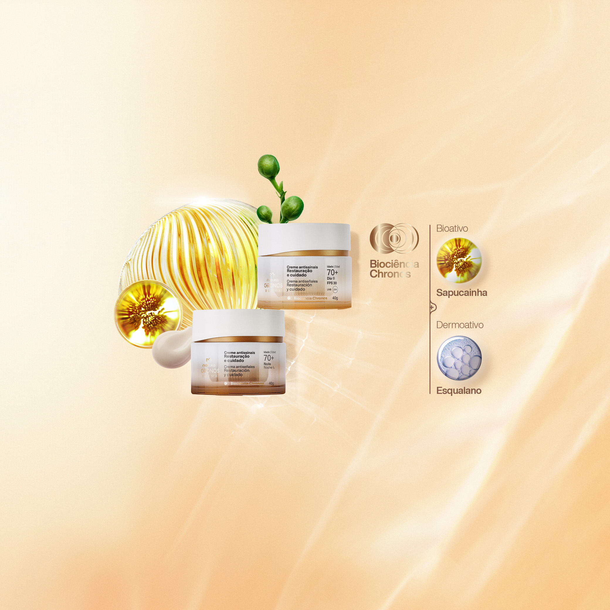 Imagem com dois potes do Creme Antissinais Chronos Derma sobre fundo bege iluminado. Elementos visuais destacam ingredientes, como Sapucainha (bioativo) e Esqualano (dermoativo).