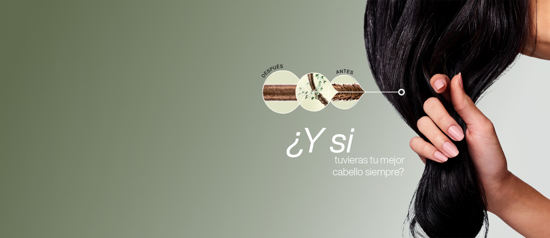 ¿Y si tuvieras tu mejor cabello siempre?