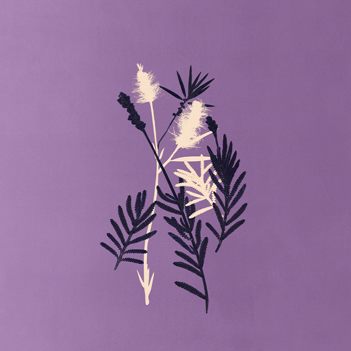 DIVINUS PLANTAE