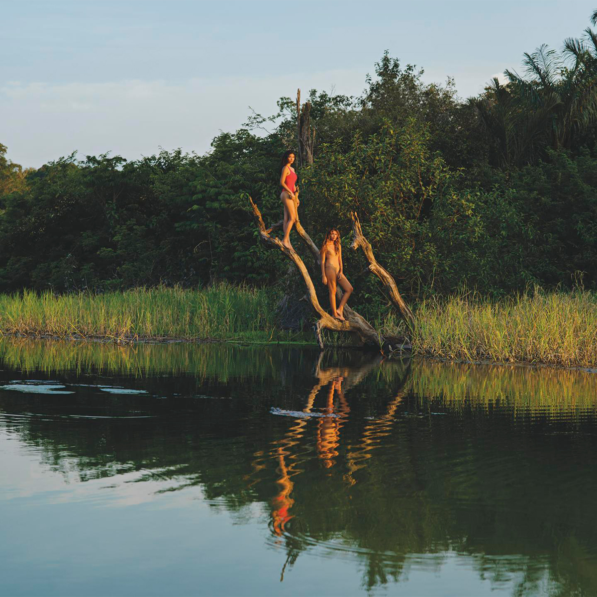 Potencia biocosmética para tu piel y regeneración de la Amazonia