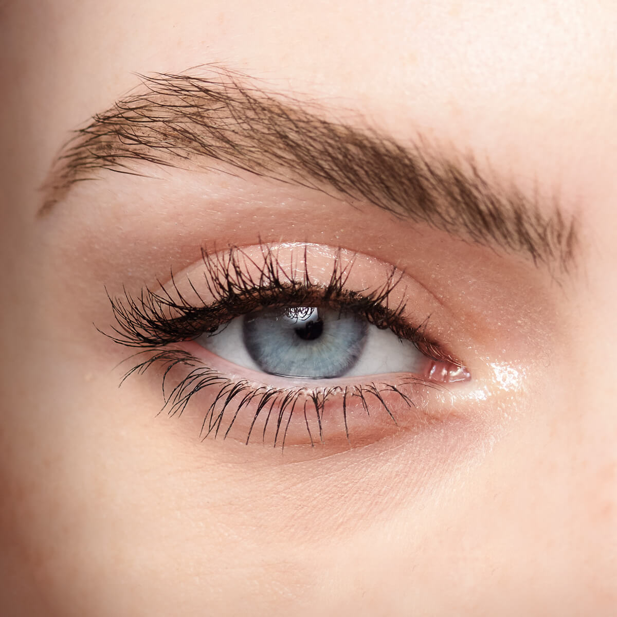 Delineador Dual para Cejas Power Stay