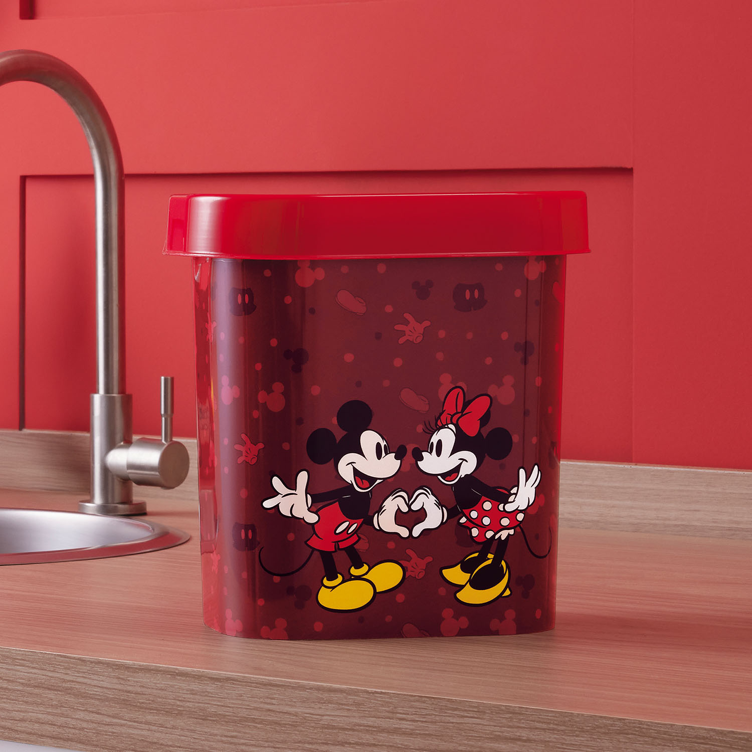Lixeira Disney