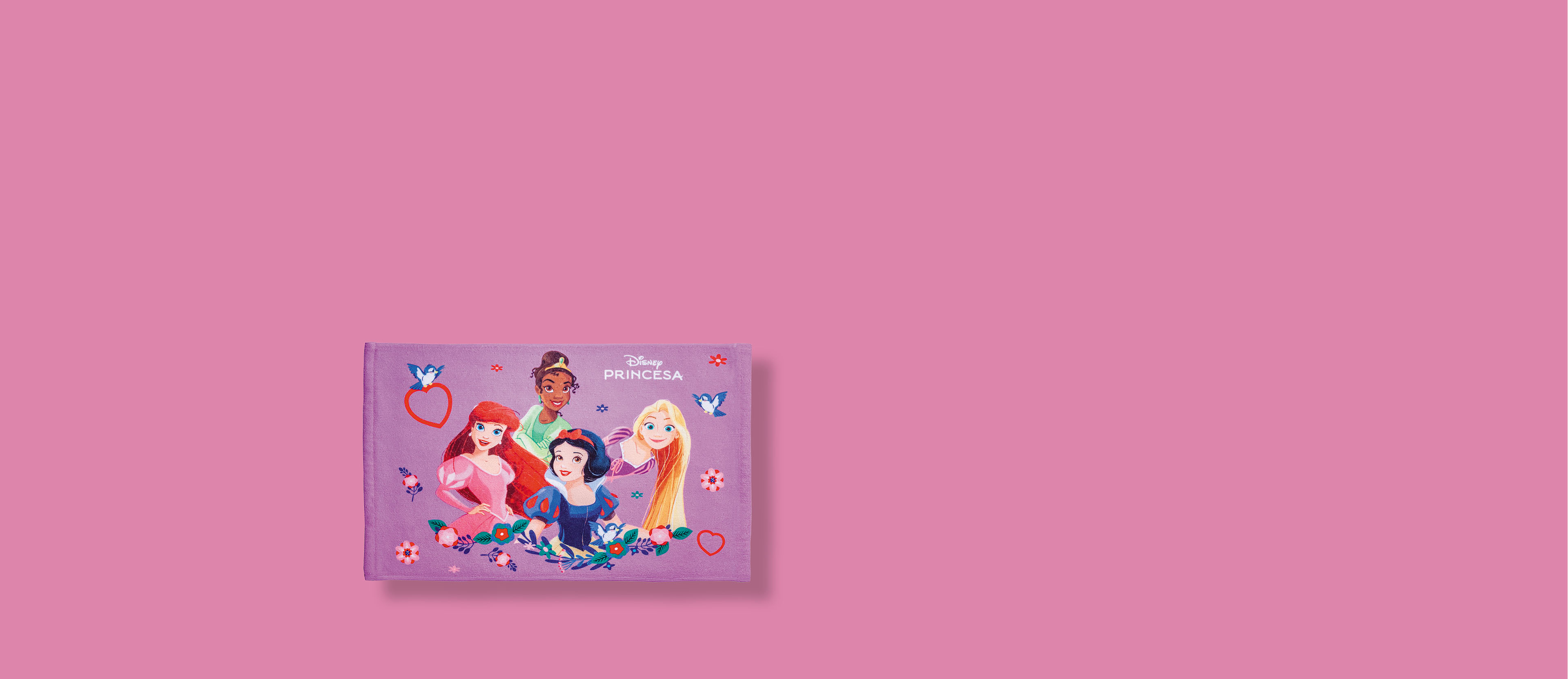 TOALHA LANCHEIRA PRINCESAS
