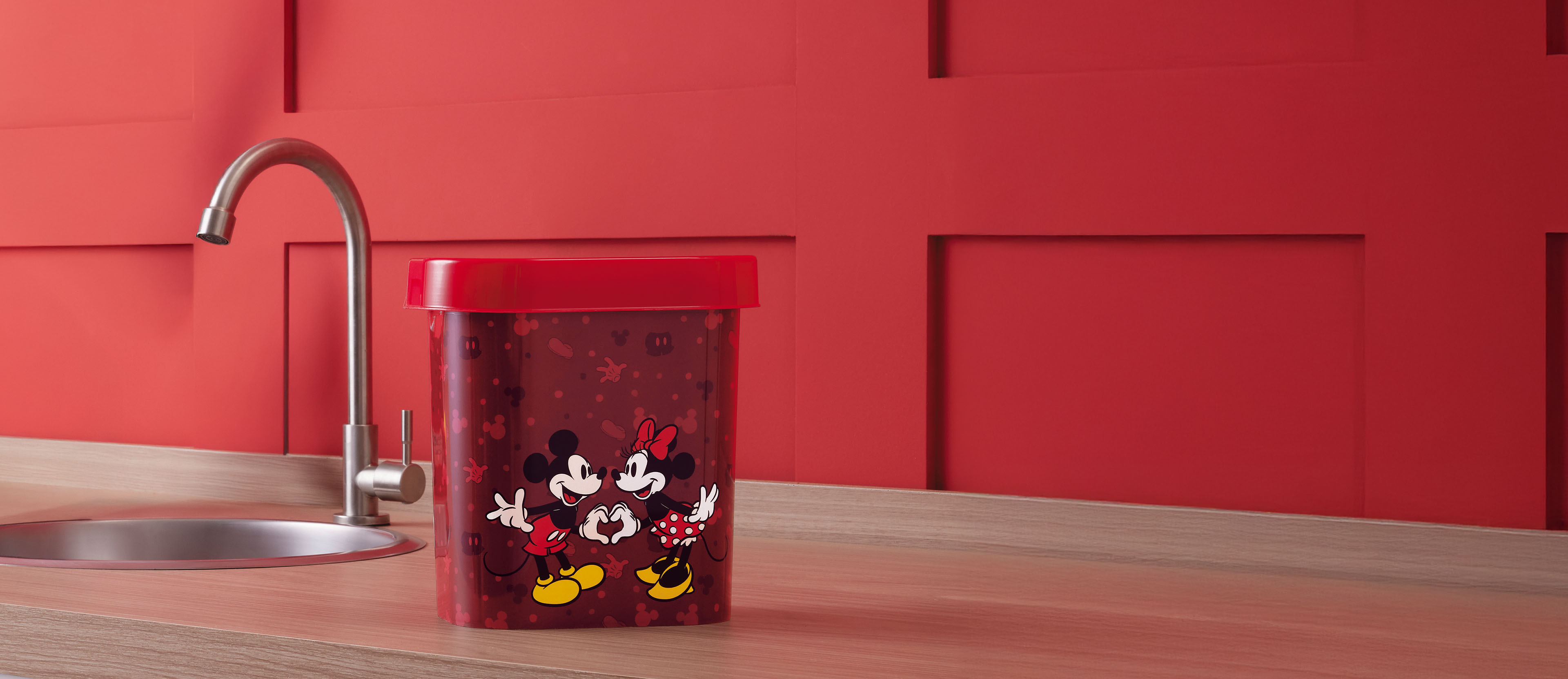 Lixeira Disney