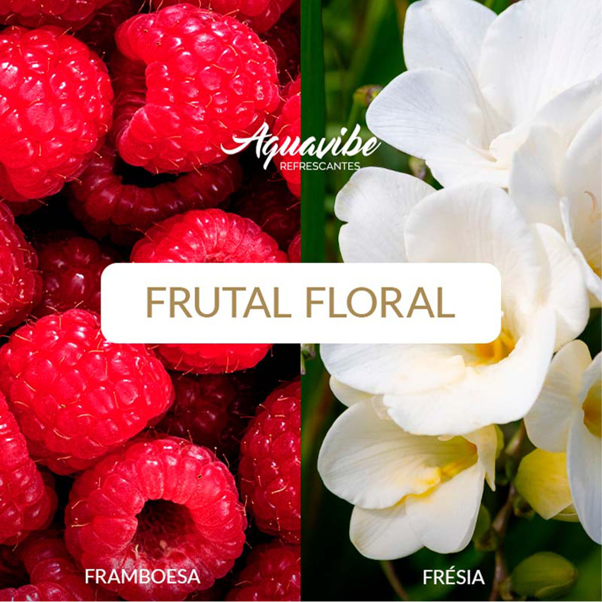 Aquavibe Framboesa e Cassis Body Splash
