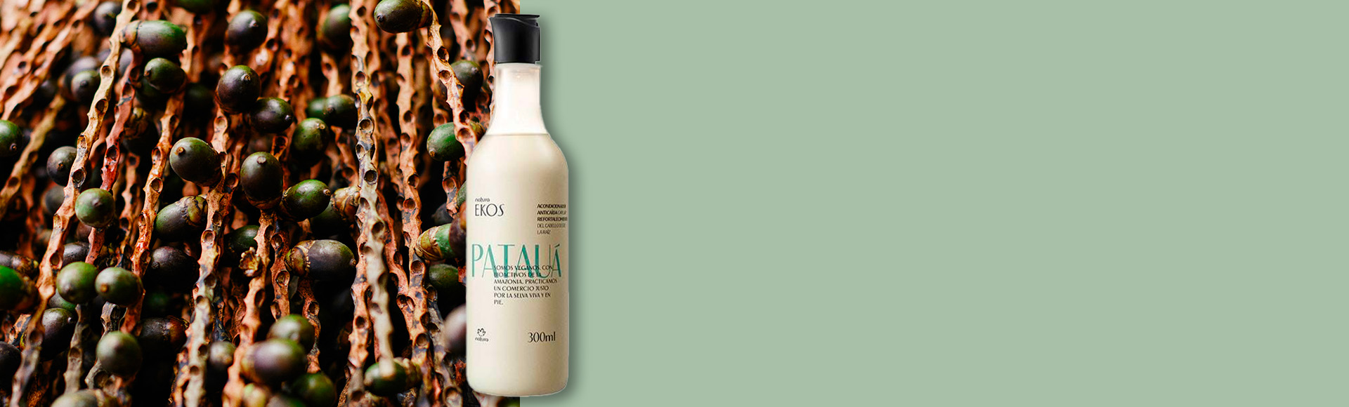 Acondicionador patauá