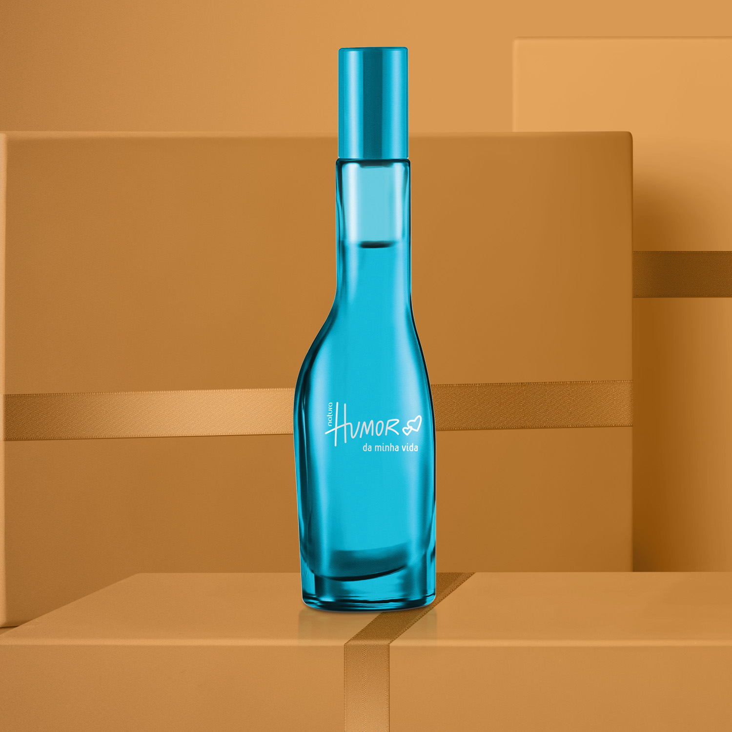 Regalo Humor da Minha Vida