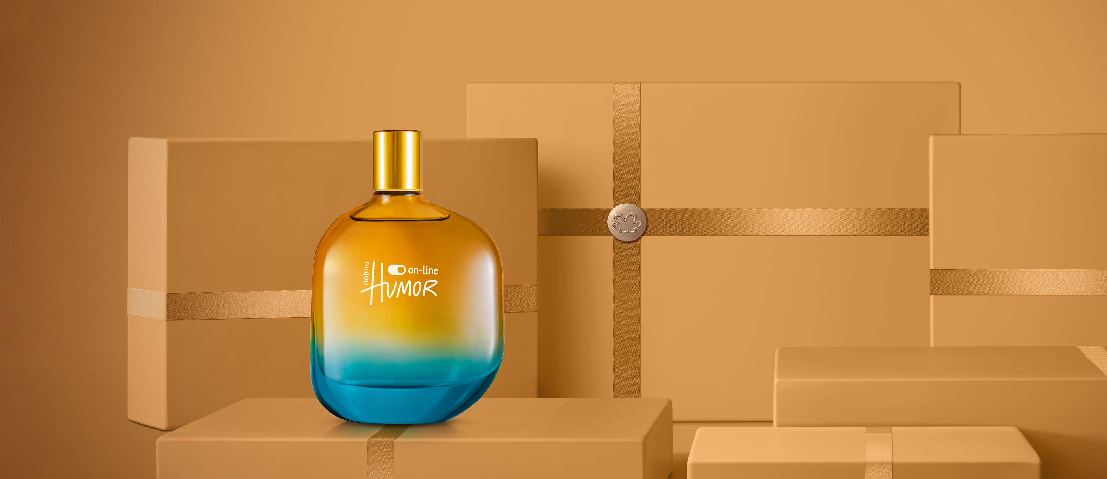 Regalo Humor On-line Masculino