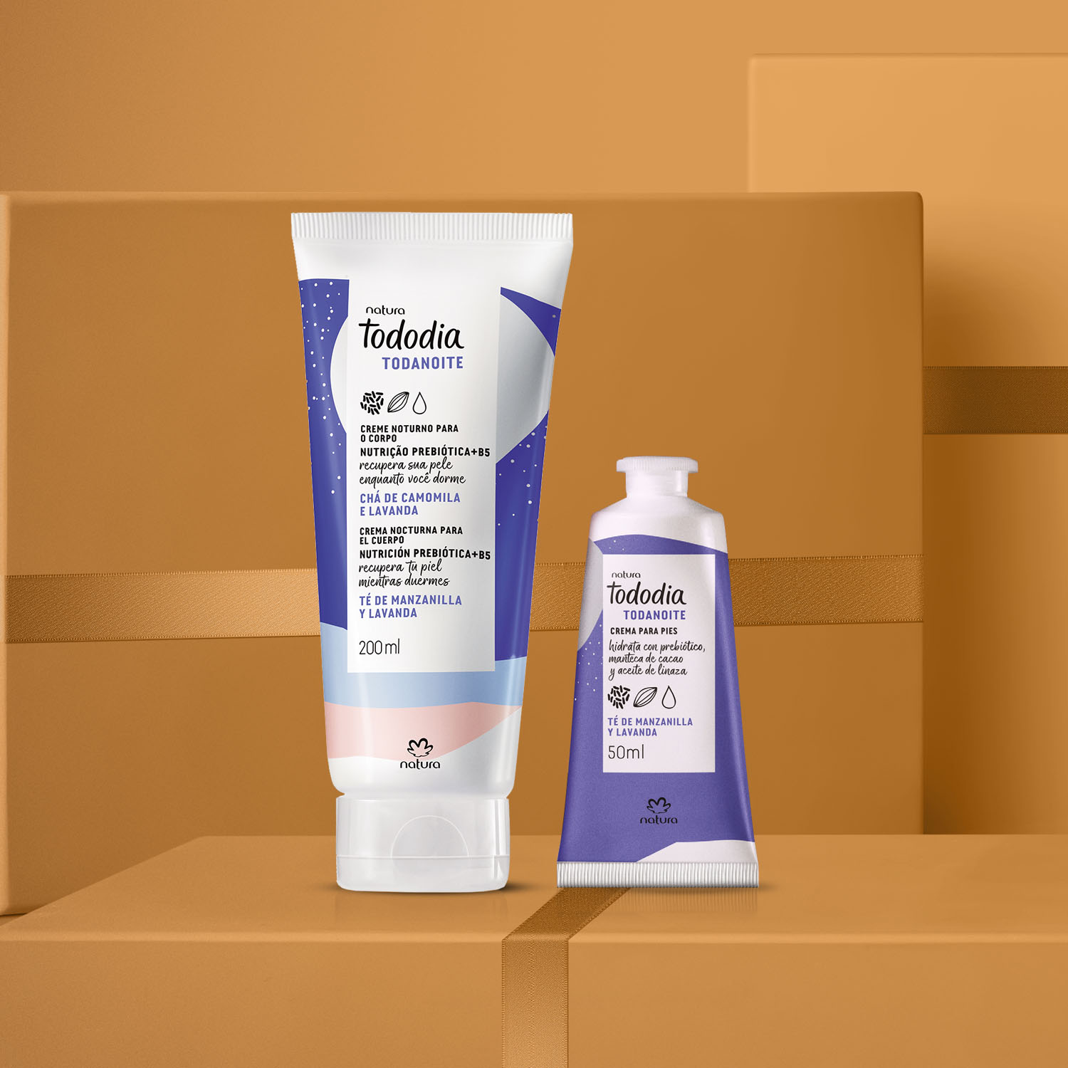 Regalo Tododia Todanoche