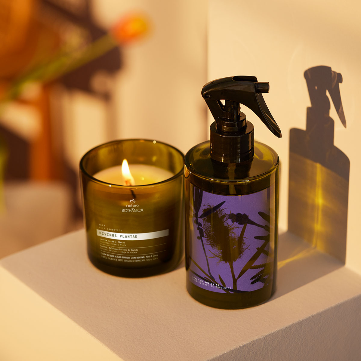 Regalo Natura Bothanica Divinus Plantae