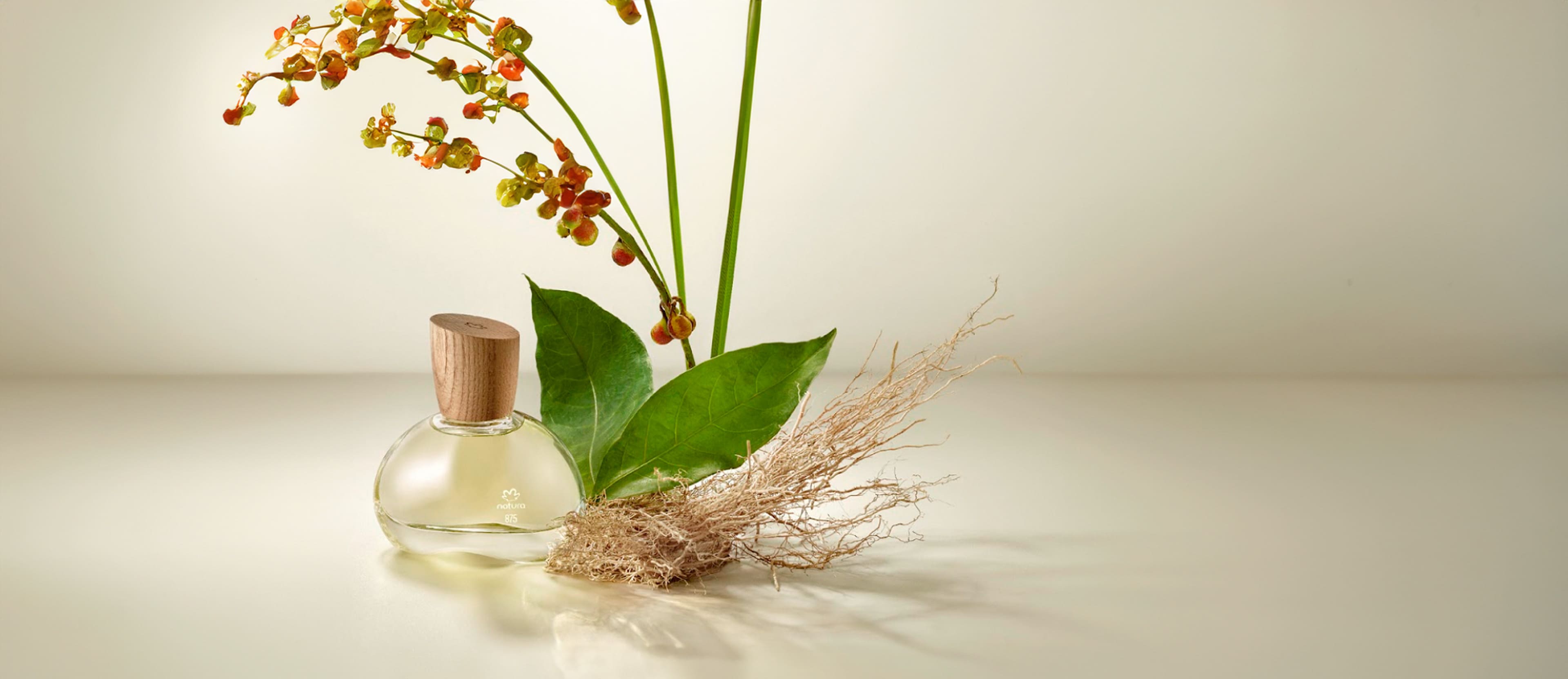 Eau de Parfum 875 Vetiver Capitiú 50ml