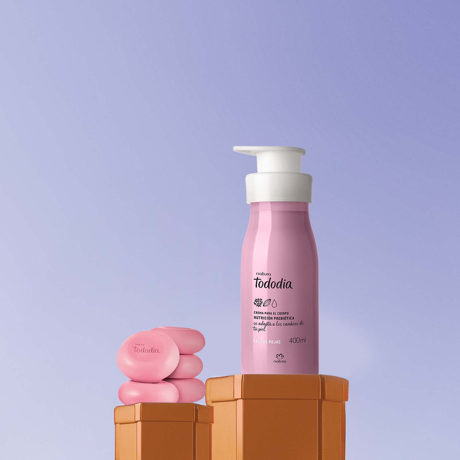 Regalo Tododia Frutas Rojas