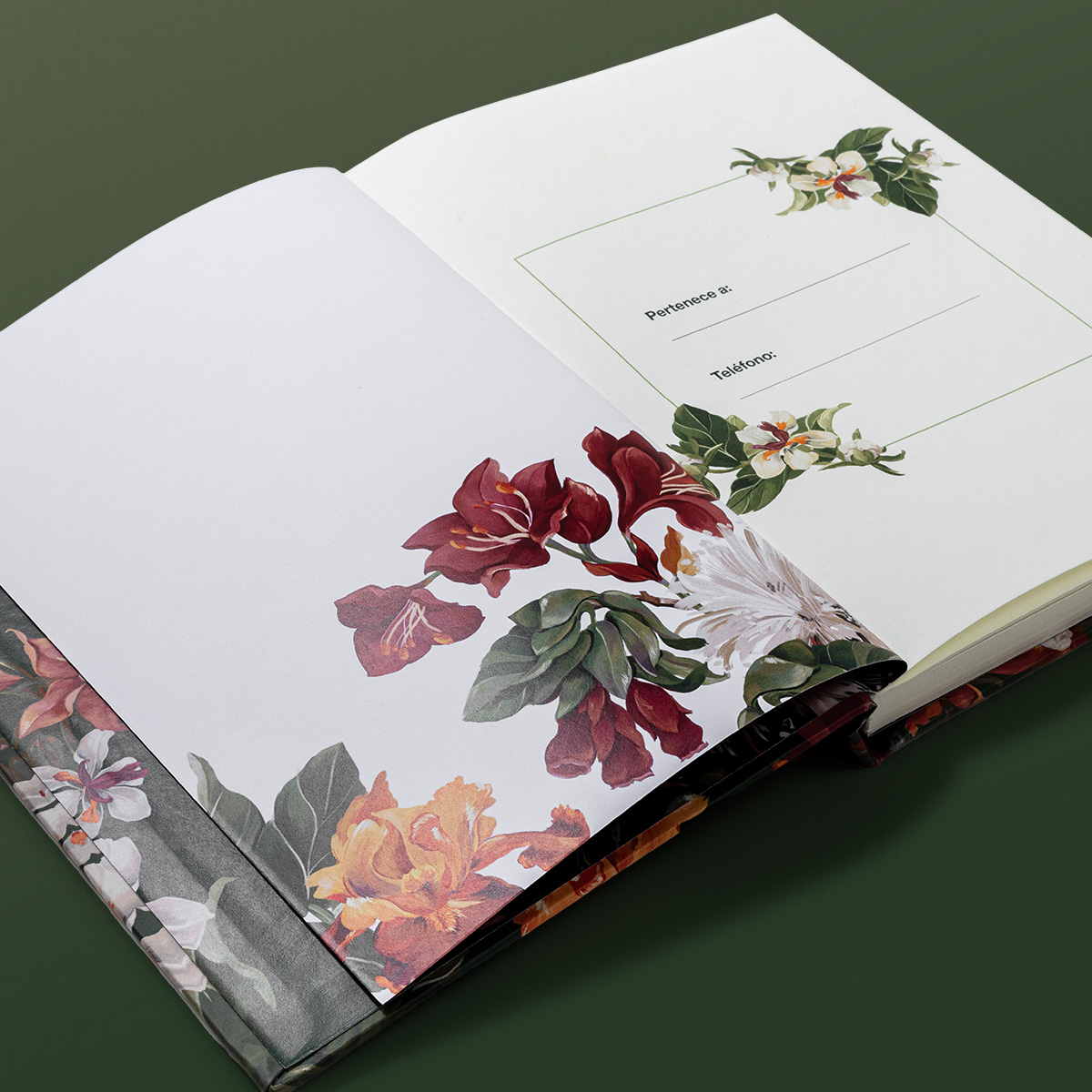 Cuaderno A5 Creer para Ver