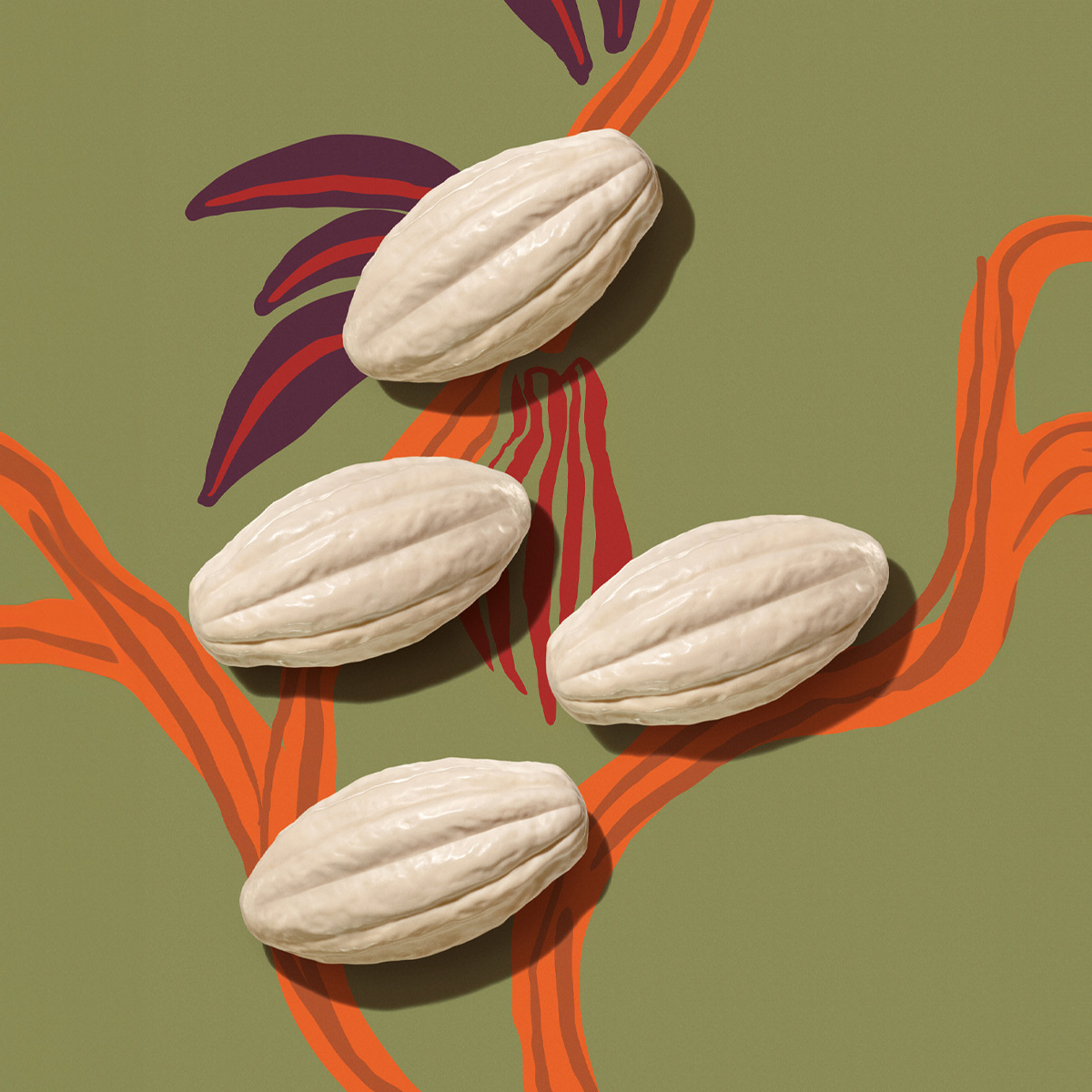 Jabones en Barra Puro Vegetal Ekos Cacao 4 x 100 g c/u