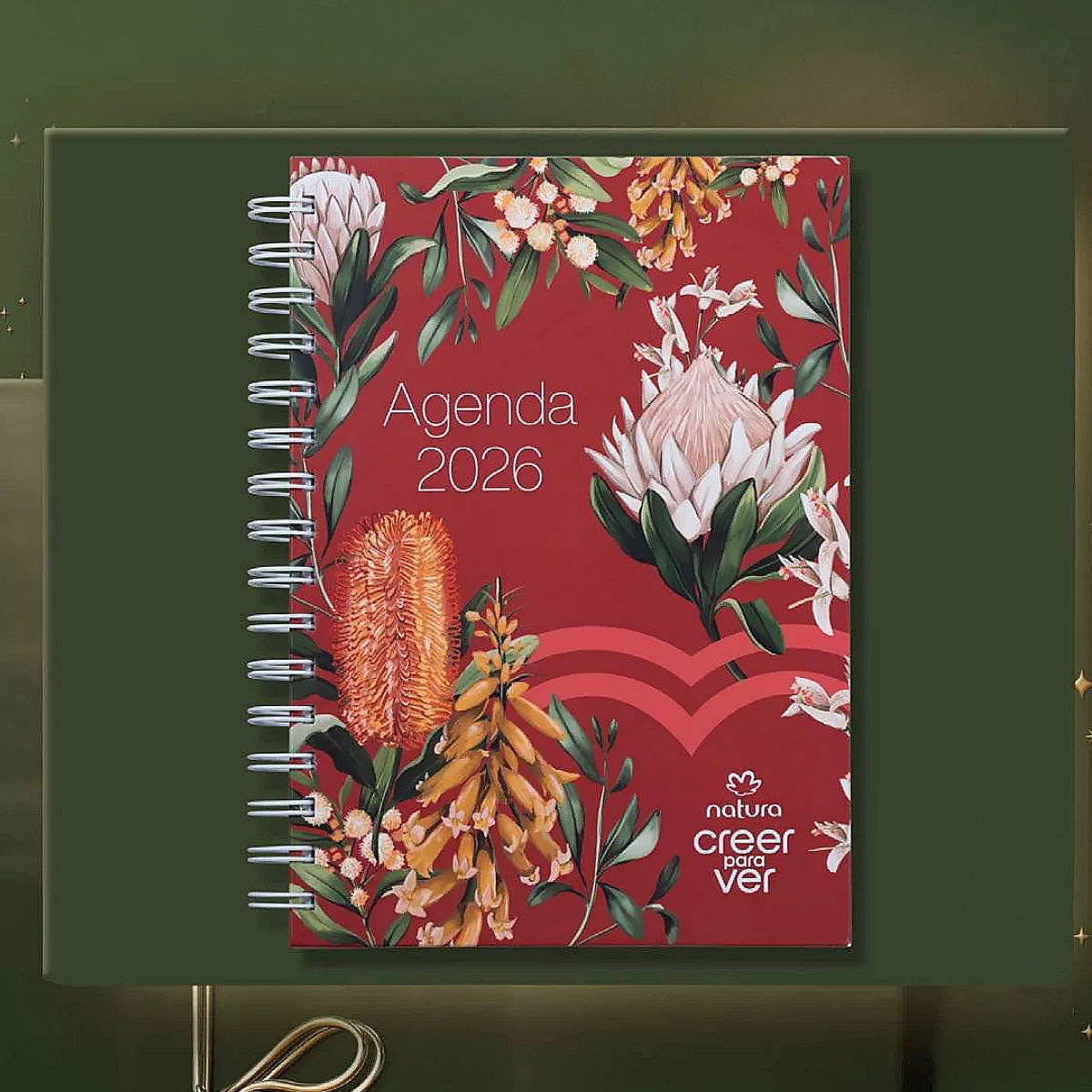 Agenda 2026 Creer para Ver