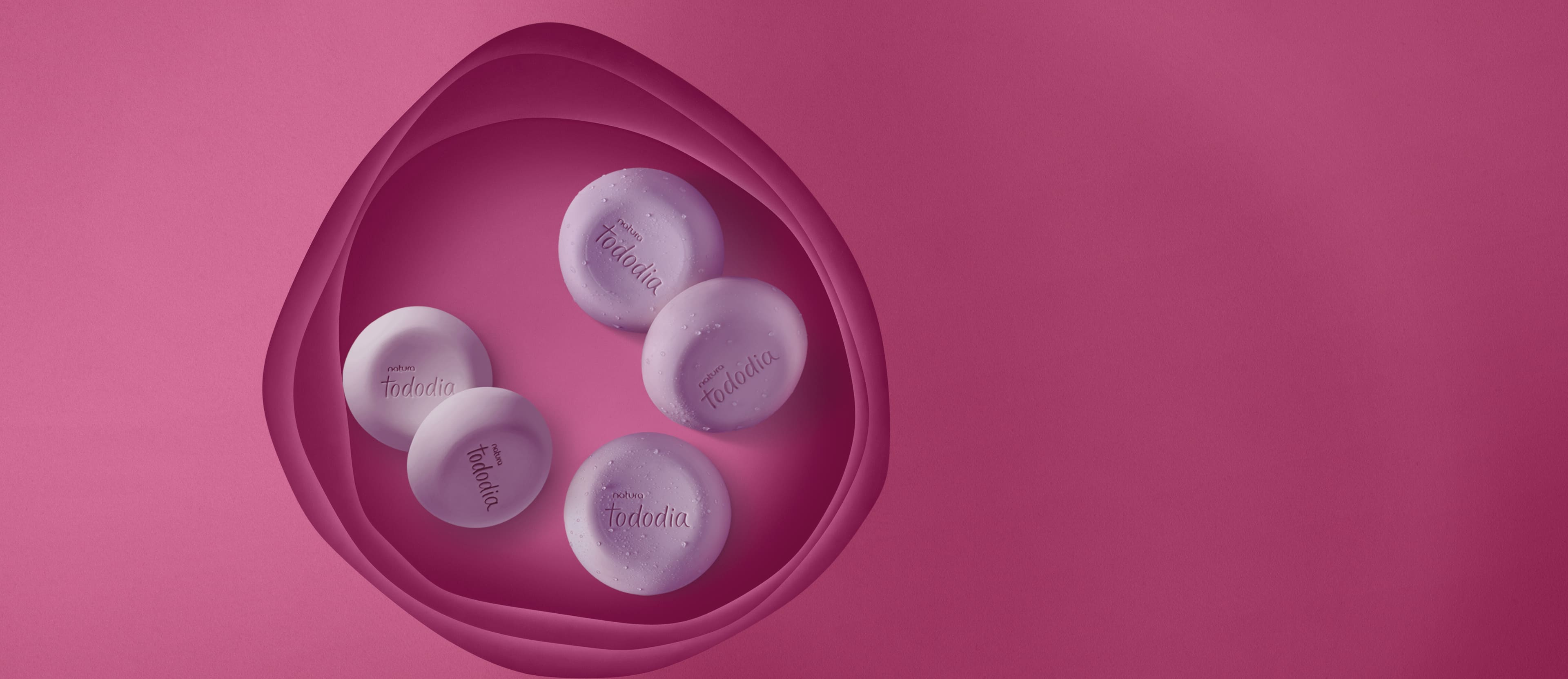 Jabones en Barra Puro Vegetal Tododia Ciruela y Flor de Vainilla 5 unidades de 90 g c/u