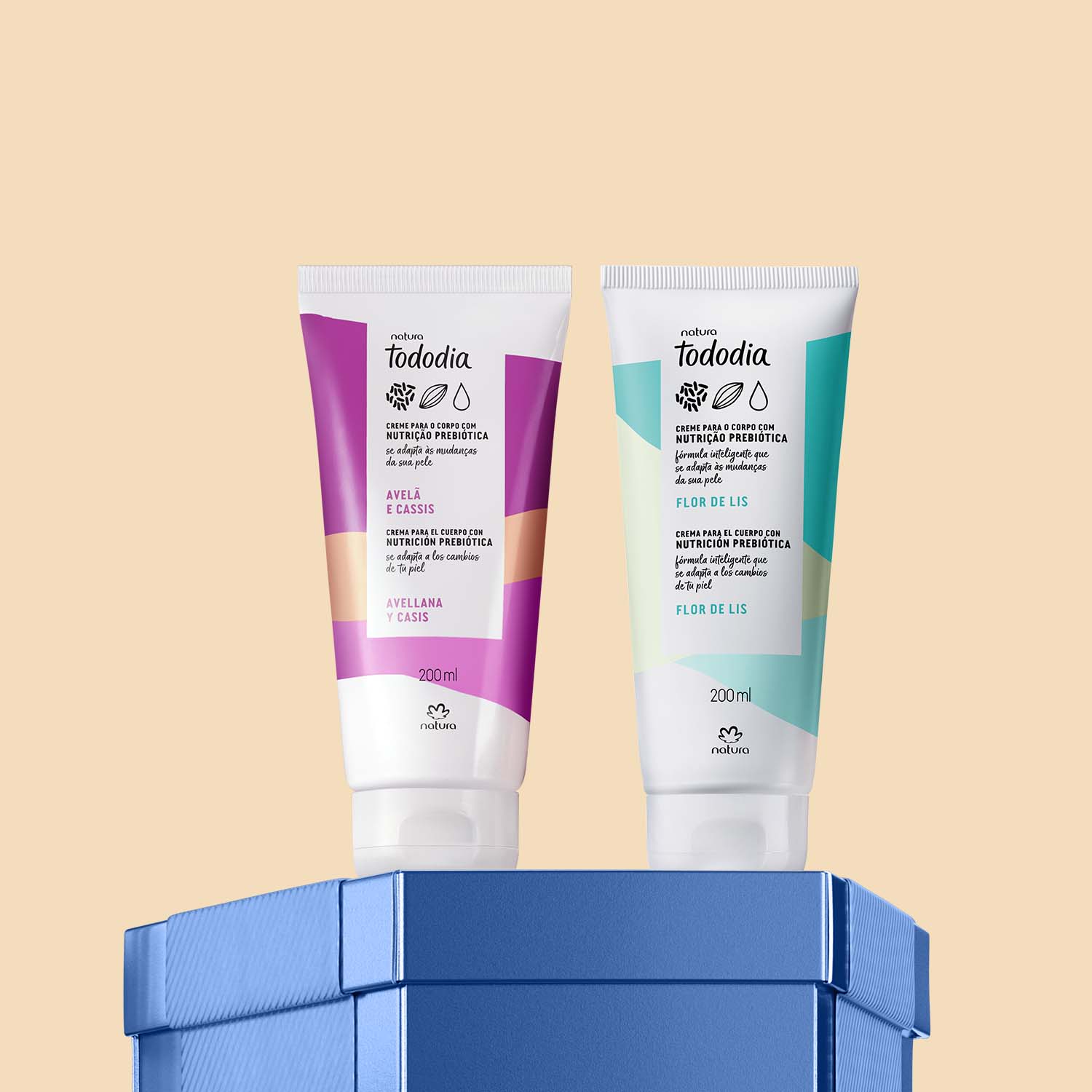 Regalo Tododia Avellana y Casis y Flor de Lis