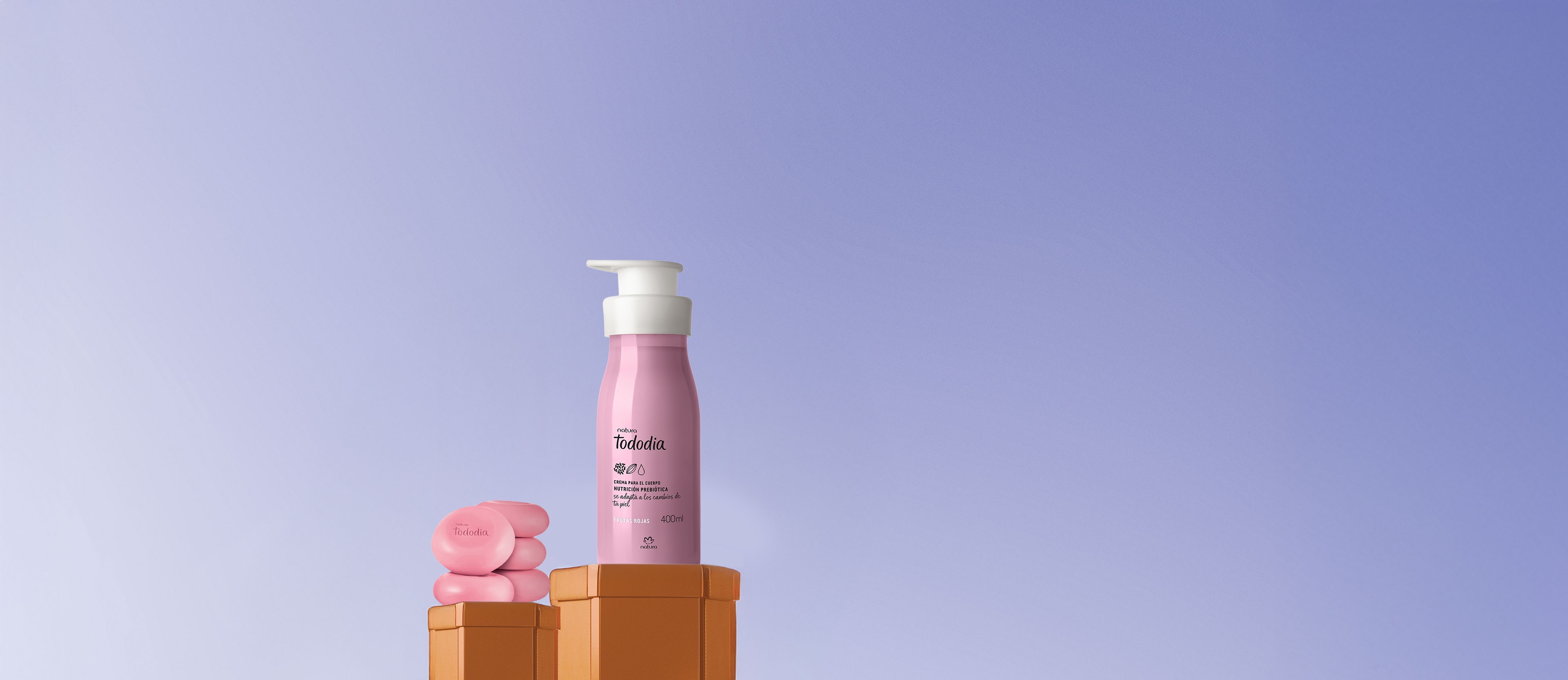 Regalo Tododia Frutas Rojas